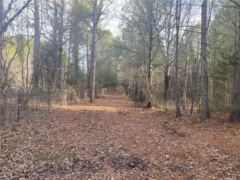0 Curtis Powers Rd, Bennett, NC 27208 photo 5