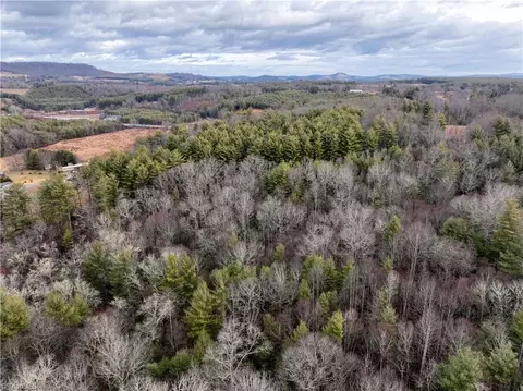 0 Dewitt Rd, Sparta, NC 28627 photo 11