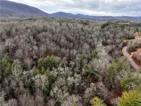 0 Dewitt Rd, Sparta, NC 28627 photo 8