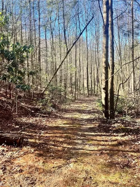 0 Dewitt Rd, Sparta, NC 28627 photo 6