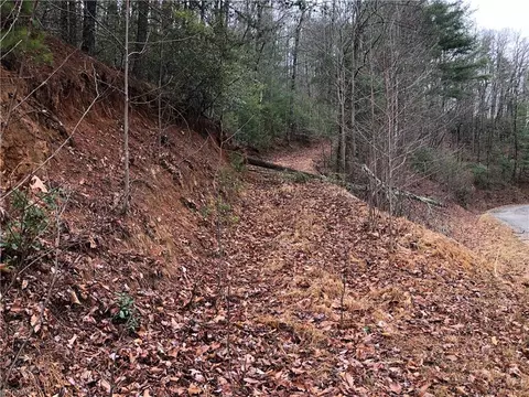 230 Deer Run, Purlear, NC 28665 photo 3