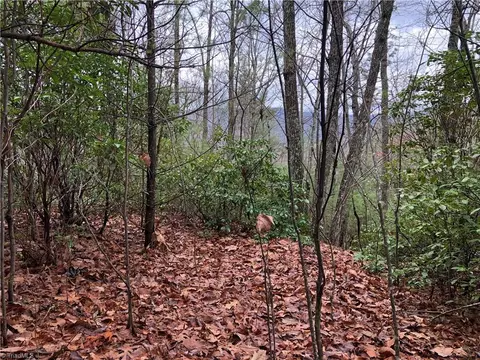 230 Deer Run, Purlear, NC 28665 photo 6