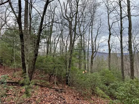 230 Deer Run, Purlear, NC 28665 photo 4