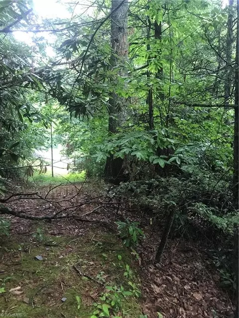 Lot 12b Vacation Way, Millers Creek, NC 28651