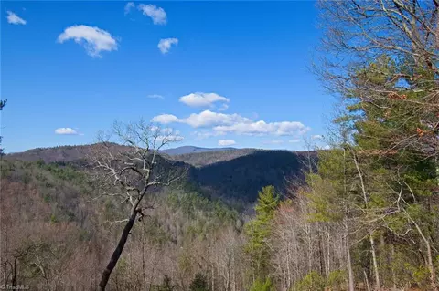 View/Area - 260 Serenity Dr, Purlear, NC 28665 photo 1 of 7