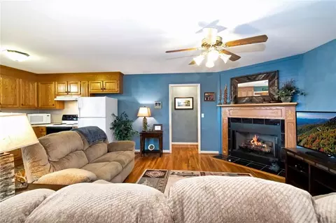 Living - 116 Bulltown Dr, Purlear, NC 28665 photo 4 of 6