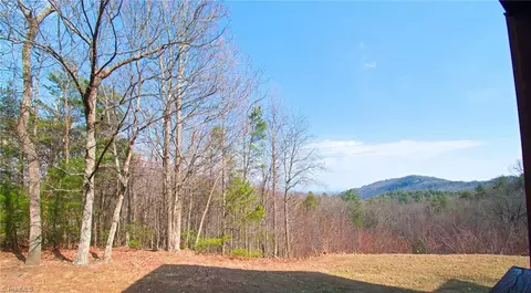 Exterior - 116 Bulltown Dr, Purlear, NC 28665 photo 9 of 11