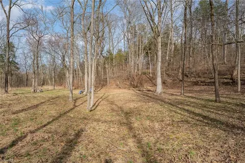 237 Marshall Smith Rd, Colfax, NC 27235 photo 4
