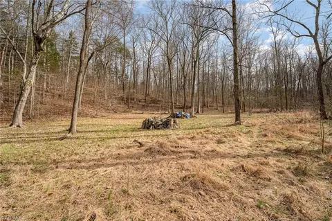 237 Marshall Smith Rd, Colfax, NC 27235 photo 5