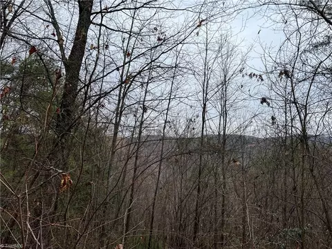 24 Wolf Pen Road, Purlear, NC 28665 photo 2