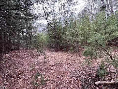24 Wolf Pen Road, Purlear, NC 28665 photo 12