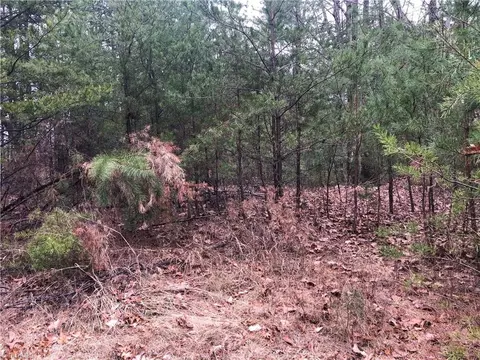 24 Wolf Pen Road, Purlear, NC 28665 photo 14