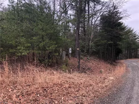 24 Wolf Pen Road, Purlear, NC 28665 photo 8