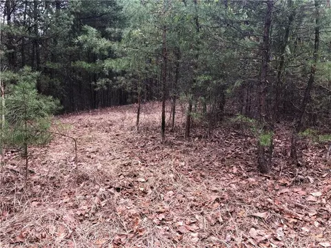 24 Wolf Pen Road, Purlear, NC 28665 photo 11