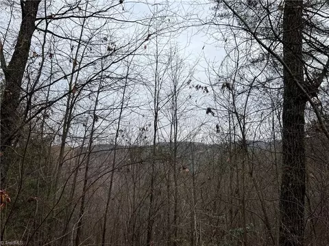 24 Wolf Pen Road, Purlear, NC 28665 photo 4