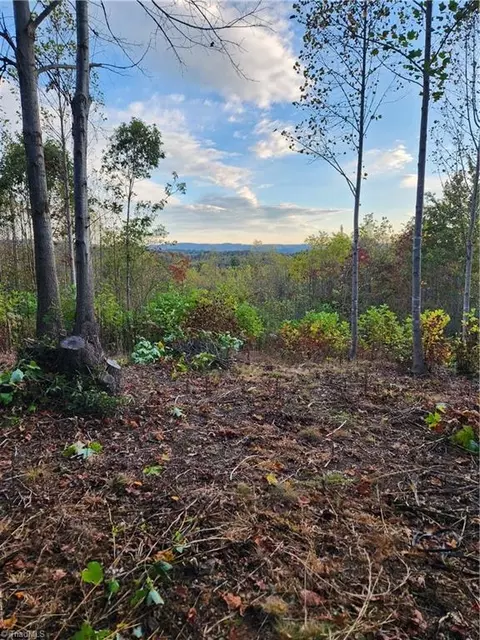 Tract 5/a River Rd Liberty Grove Road, North Wilkesboro, NC 28659