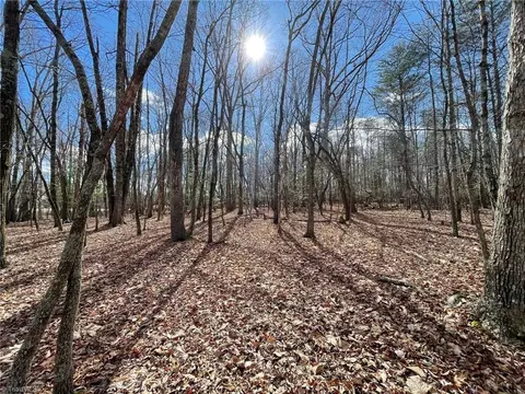 tbd Mount Pleasant Church Rd, State Road, NC 28676