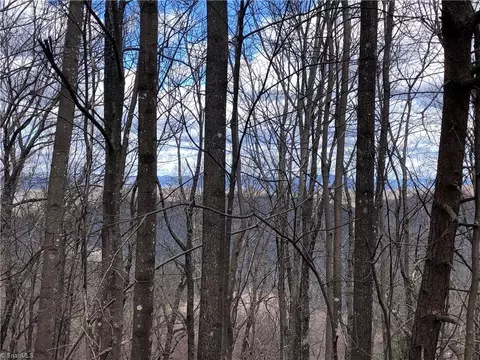 Lot 21 Bobcat Mountain Road, Purlear, NC 28665