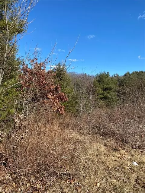 Tbd Holly Ridge Road, West Jefferson, NC 28694