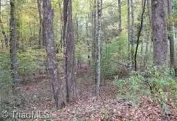 tbd Clear View Ridge Rd, Crumpler, NC 28617