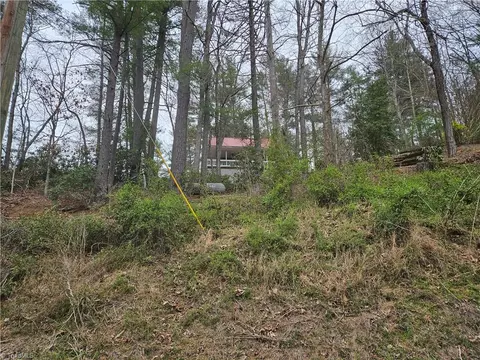 View/Area - 824 Kapps Mill Rd, Dobson, NC 27017 photo 5 of 9