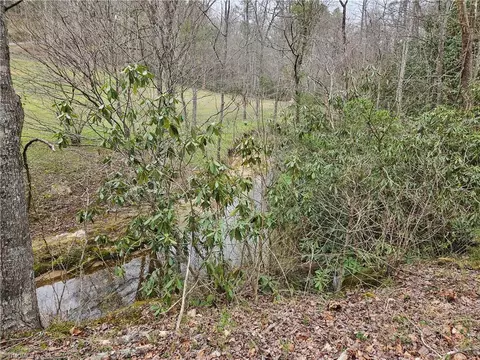 View/Area - 824 Kapps Mill Rd, Dobson, NC 27017 photo 2 of 9