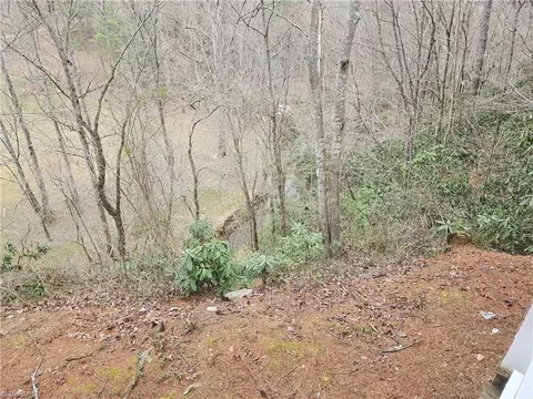 View/Area - 824 Kapps Mill Rd, Dobson, NC 27017 photo 1 of 9