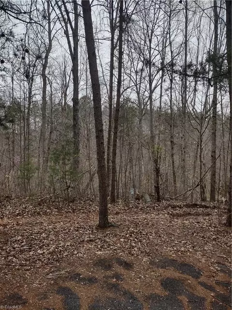1200 Ridgecliff Dr, Rural Hall, NC 27045