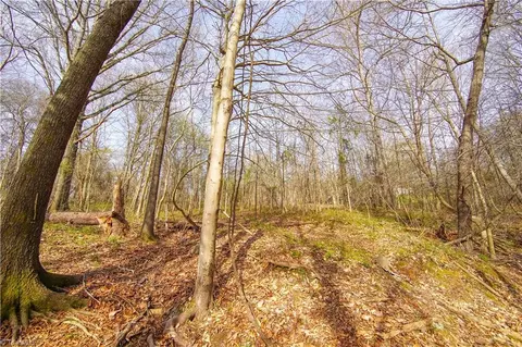 View/Area - 1691 Pine Hall Rd, Pine Hall, NC 27042 photo 1 of 3