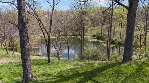 View/Area - 1066 Buck Fork Rd, Dobson, NC 27017 photo 4 of 13