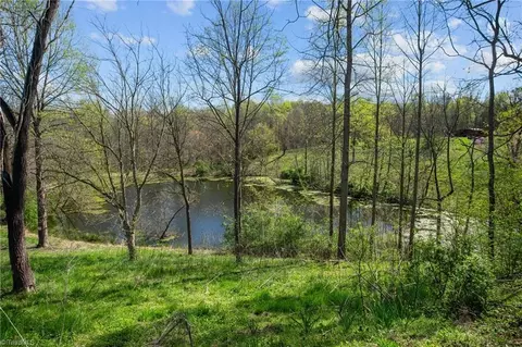 View/Area - 1066 Buck Fork Rd, Dobson, NC 27017 photo 12 of 13