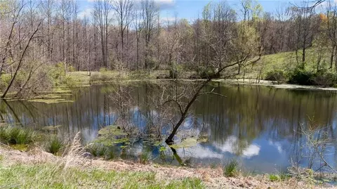 View/Area - 1066 Buck Fork Rd, Dobson, NC 27017 photo 10 of 13