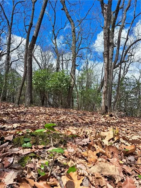 tbd Mountain View Dr, Lowgap, NC 27024