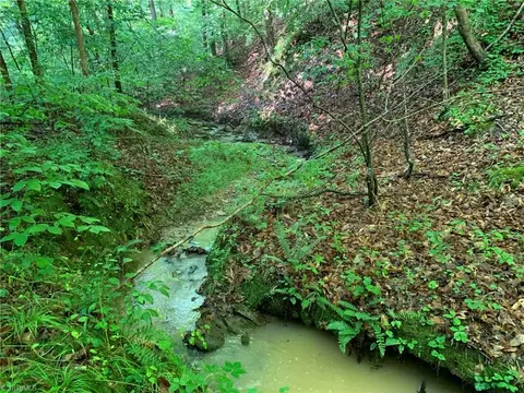 0 Sheppard Mill Rd, Danbury, NC 27016