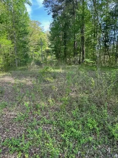 0 Tanglebrook Rd, High Point, NC 27265 photo 4