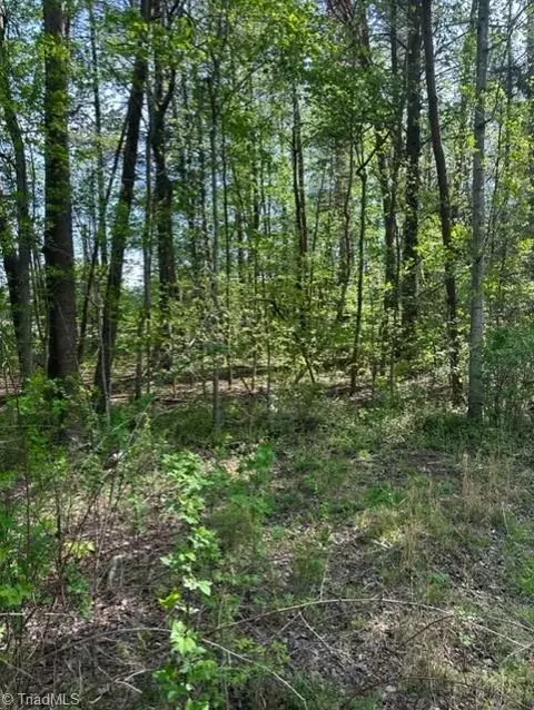 0 Tanglebrook Rd, High Point, NC 27265 photo 3