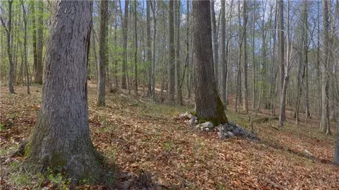 29 Saturn Dr, Ridgeway, VA 24148 photo 29