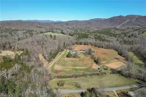 10845 Traphill Rd, Traphill, NC 28685