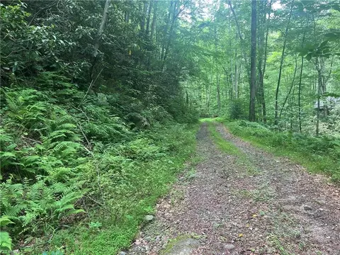 tbd Lee Mountain Rd, Ferguson, NC 28624 photo 5
