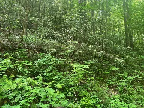 tbd Lee Mountain Rd, Ferguson, NC 28624 photo 8