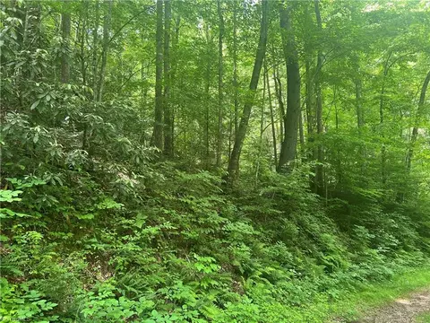 tbd Lee Mountain Rd, Ferguson, NC 28624 photo 7