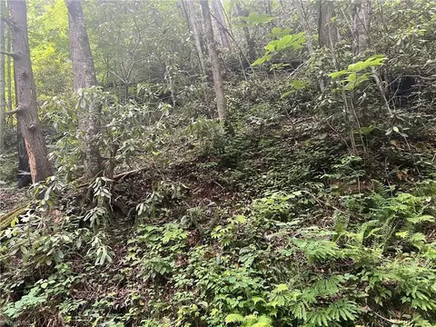 tbd Lee Mountain Rd, Ferguson, NC 28624 photo 4