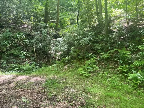 tbd Lee Mountain Rd, Ferguson, NC 28624 photo 6