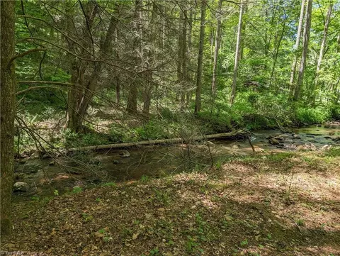 0 Luffman Rd, Dobson, NC 27017 photo 37