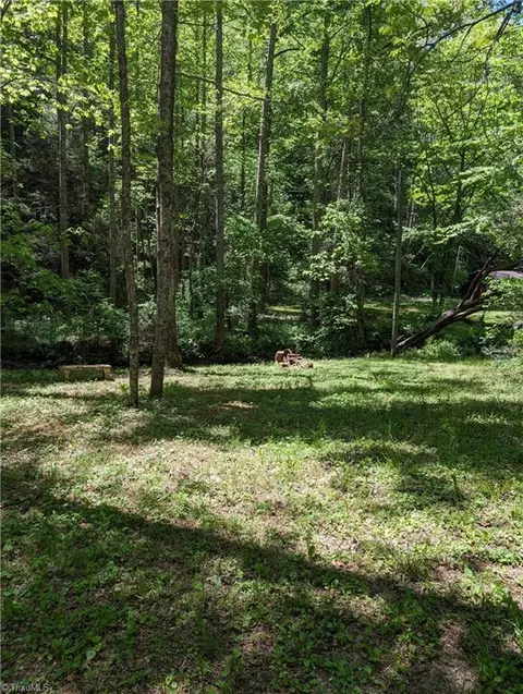 0 Luffman Rd, Dobson, NC 27017 photo 8