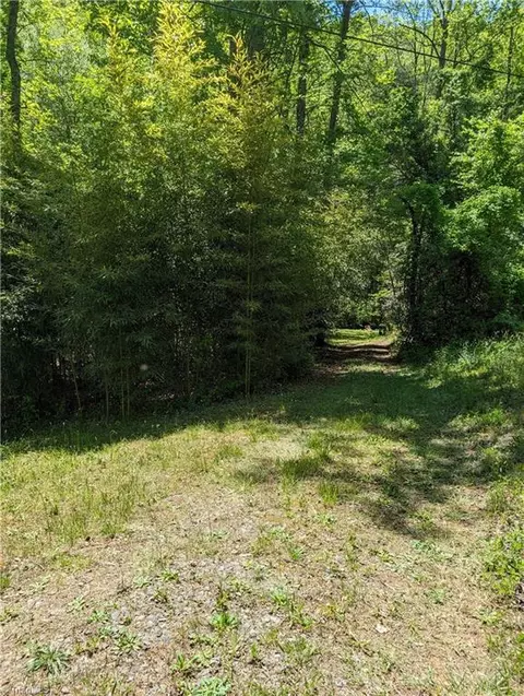 0 Luffman Rd, Dobson, NC 27017 photo 2