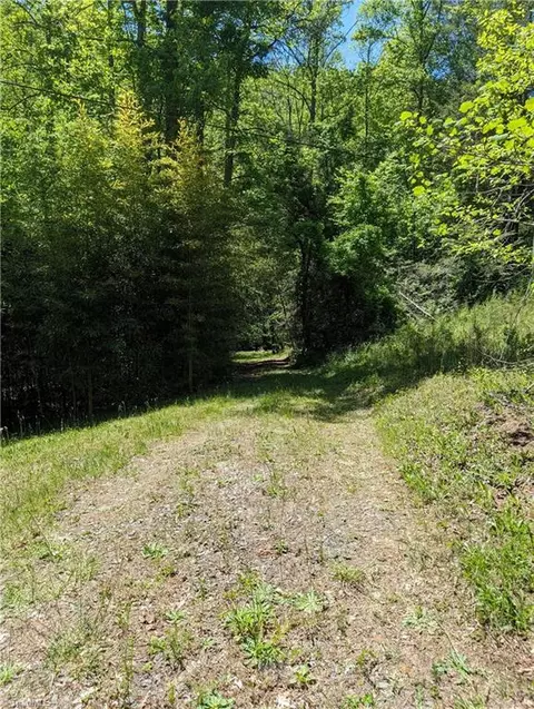 0 Luffman Rd, Dobson, NC 27017 photo 6