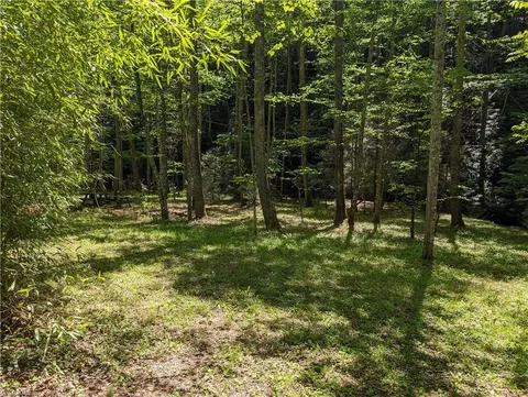0 Luffman Rd, Dobson, NC 27017 photo 45