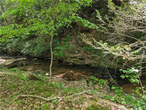 0 Luffman Rd, Dobson, NC 27017 photo 33