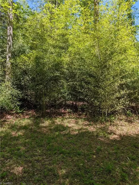 0 Luffman Rd, Dobson, NC 27017 photo 9